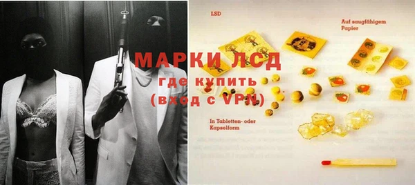 индика Нея