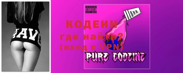 индика Нея