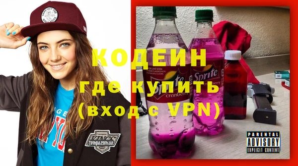 индика Нея