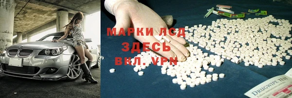 индика Нея