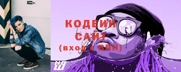 трава Инта