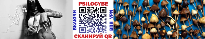 где купить   Терек  Псилоцибиновые грибы прущие грибы 