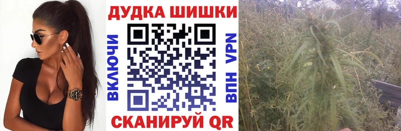 Каннабис OG Kush Терек